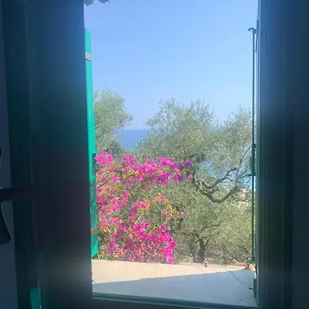 Amapola House Penzion