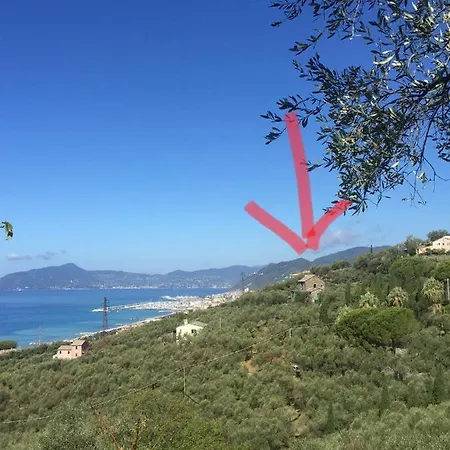 Amapola House Penzion *